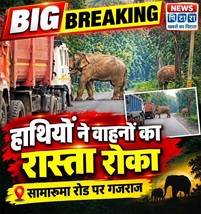 haathi trelar2