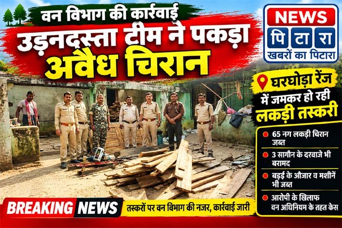 lakdi aamap2